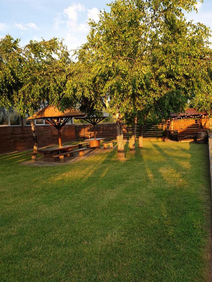 Casa Tomsa Bed & Breakfast Rozavlea Exterior photo